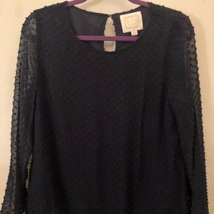 Blue Chiffon Blouse With Polka Dots